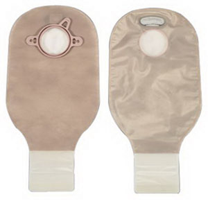 HOL-NEW IMAGE DRN PCH TRANS W/